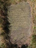 image of grave number 432960